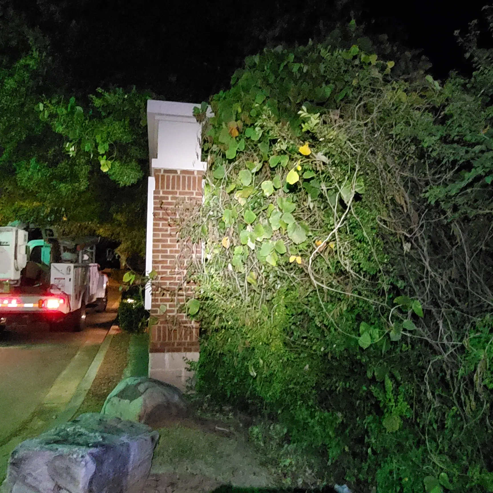 Trees Trim Service - Commercial LED sign installation - Panda Express #1249 - Allen Black Sign Co